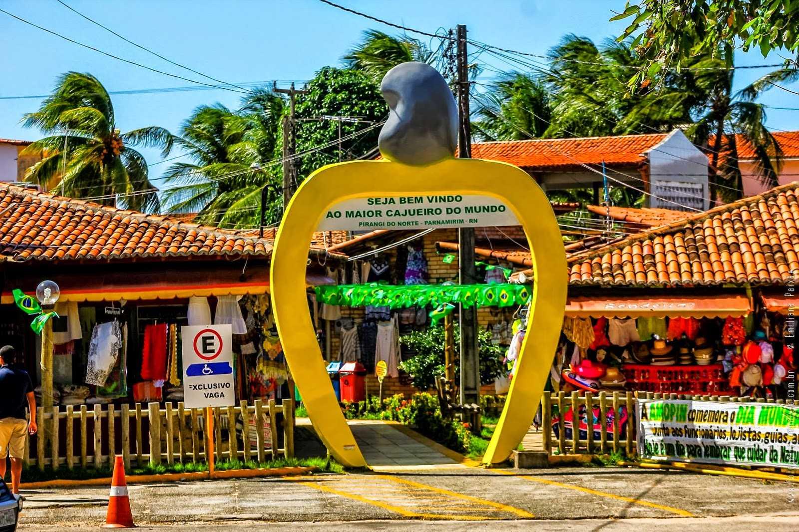 Maior Cajueiro do Mundo